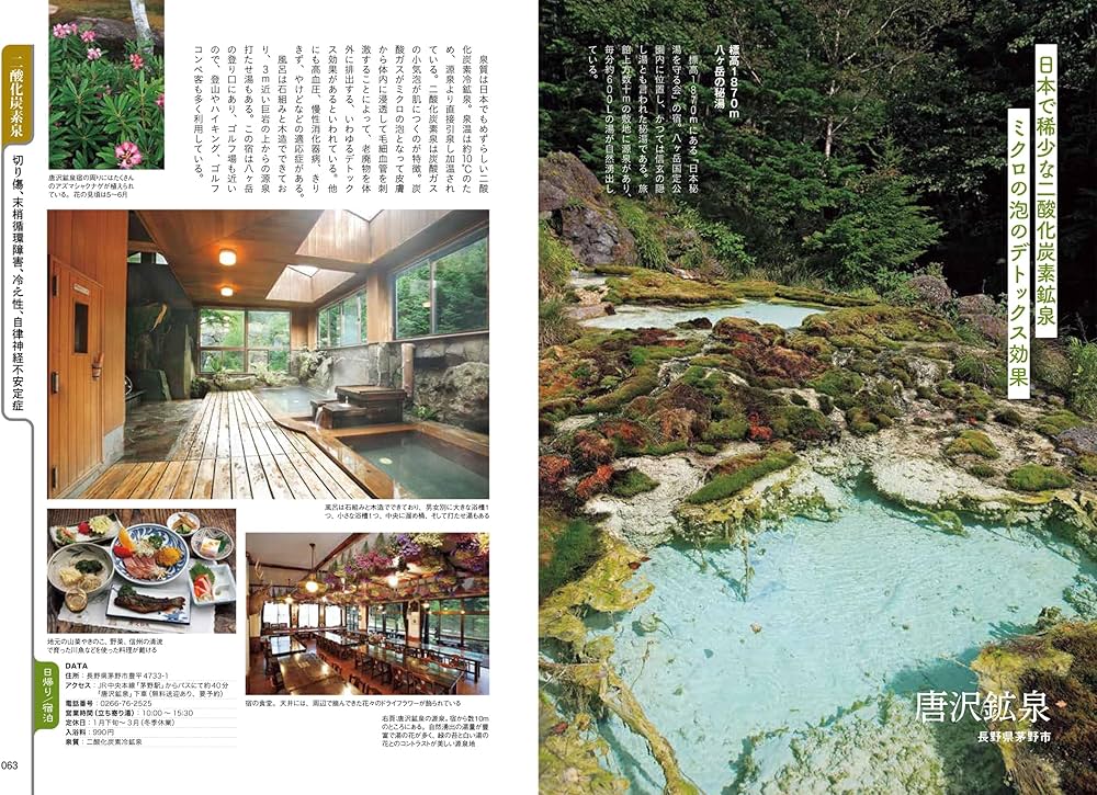 泉質でわかる! “逆引き”温泉事典 (イカロスMOOK) | イカロス出版 |本